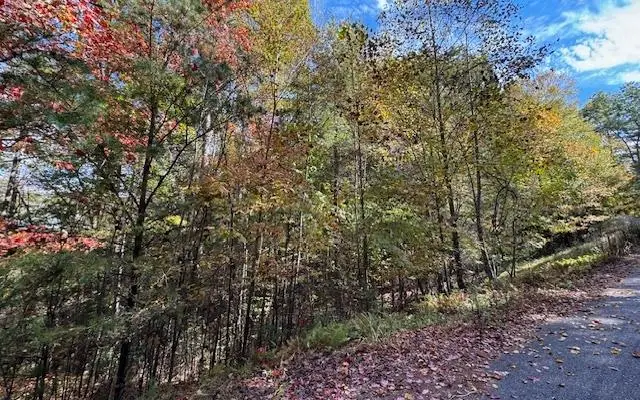 Lt 56,57 Hemlock Heights, Suches, GA 30572 - Image #2