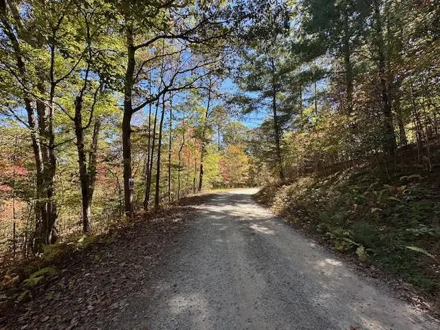 Lot 15 Wolf Creek Estates, Mineral Bluff, GA 30559 - Image #1