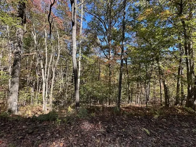 Lot 15 Wolf Creek Estates, Mineral Bluff, GA 30559 - Image #2