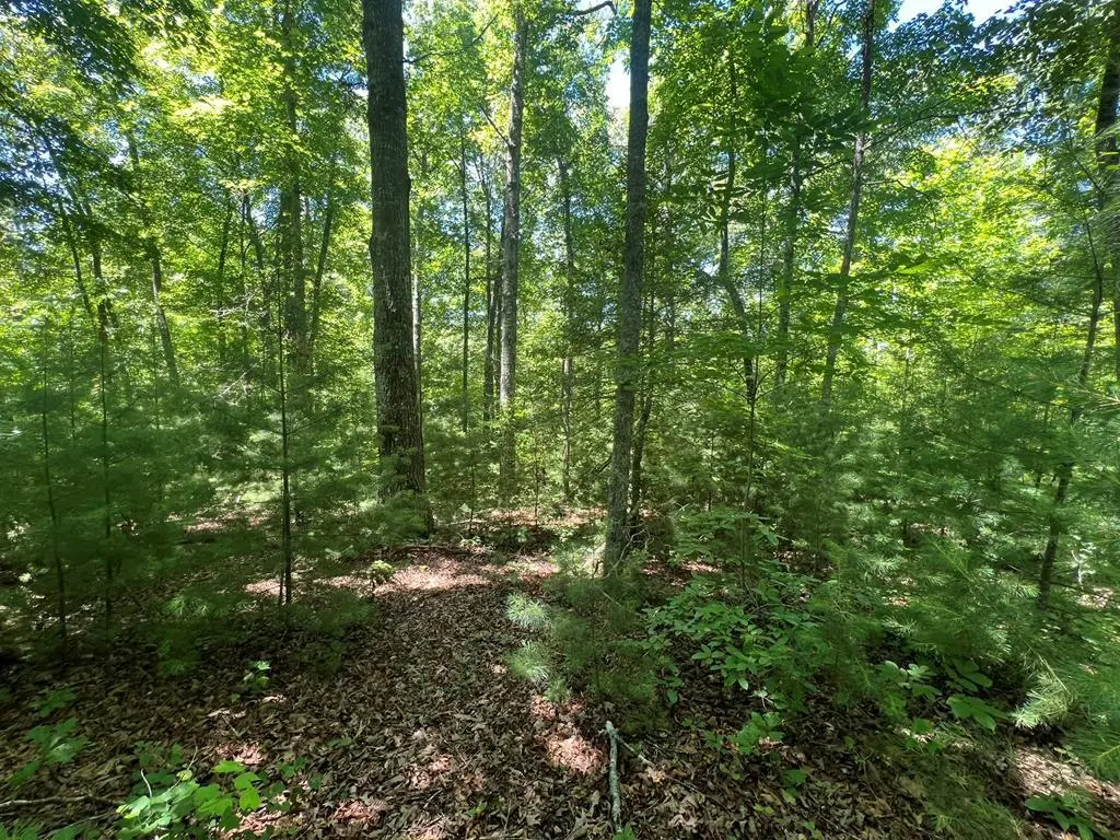 0 Paw Paw Trail, Murphy, NC 28906 - Image #1
