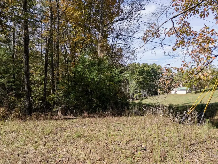 L21 & 22 Eastridge Court, Blairsville, GA 30512 - Image #3