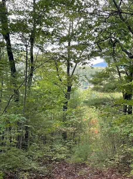 Lot 7 Sequoia Hills Ln, Clayton, GA 30525 - #3