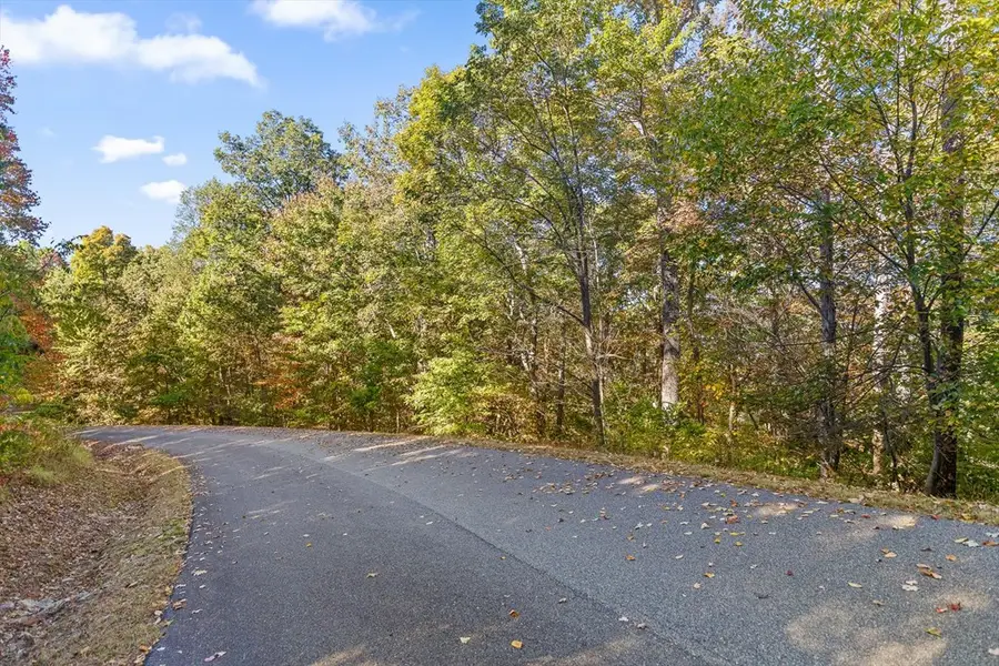 Lot 8 Ada Ridge Road, Mineral Bluff, GA 30559 - Image #3
