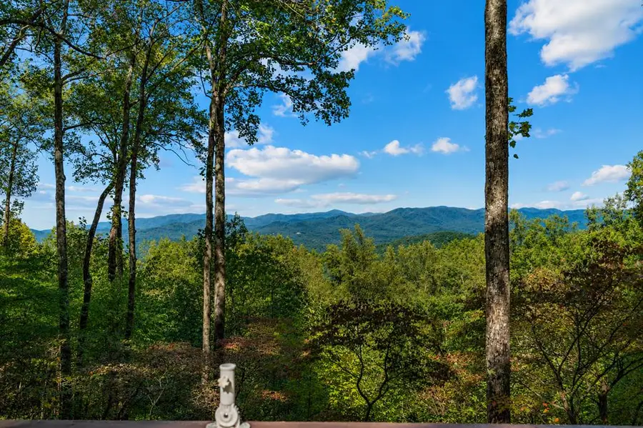 1225 Walnut Ridge, Ellijay, GA 30536 - #2