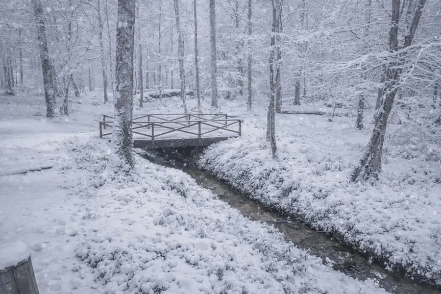 2471 High River Road, Hiawassee, GA 30546 - #2