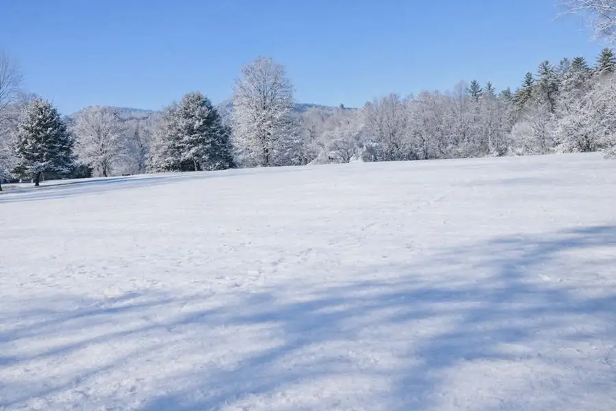 2471 High River Road, Hiawassee, GA 30546 - #3