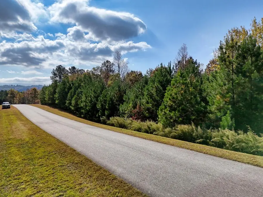 lot 43 Water Oak Lane, Blairsville, GA 30512 - Image #2