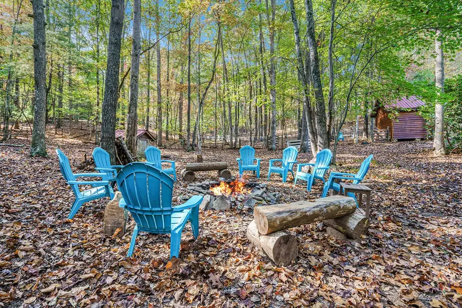 98 Bear Lane, Blue Ridge, GA 30513 - #2