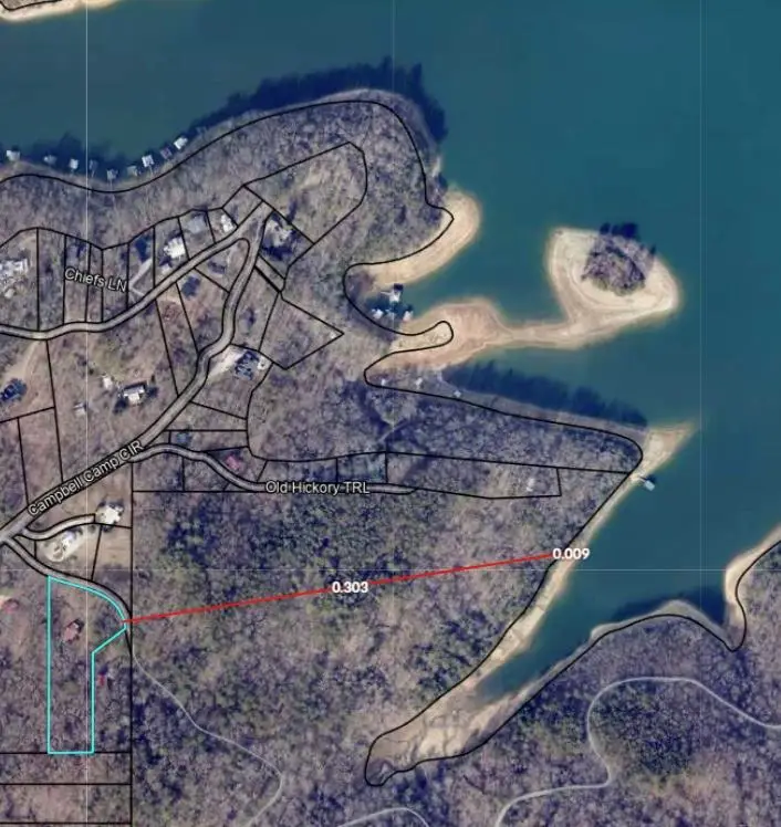 98 Bear Lane, Blue Ridge, GA 30513 - #3