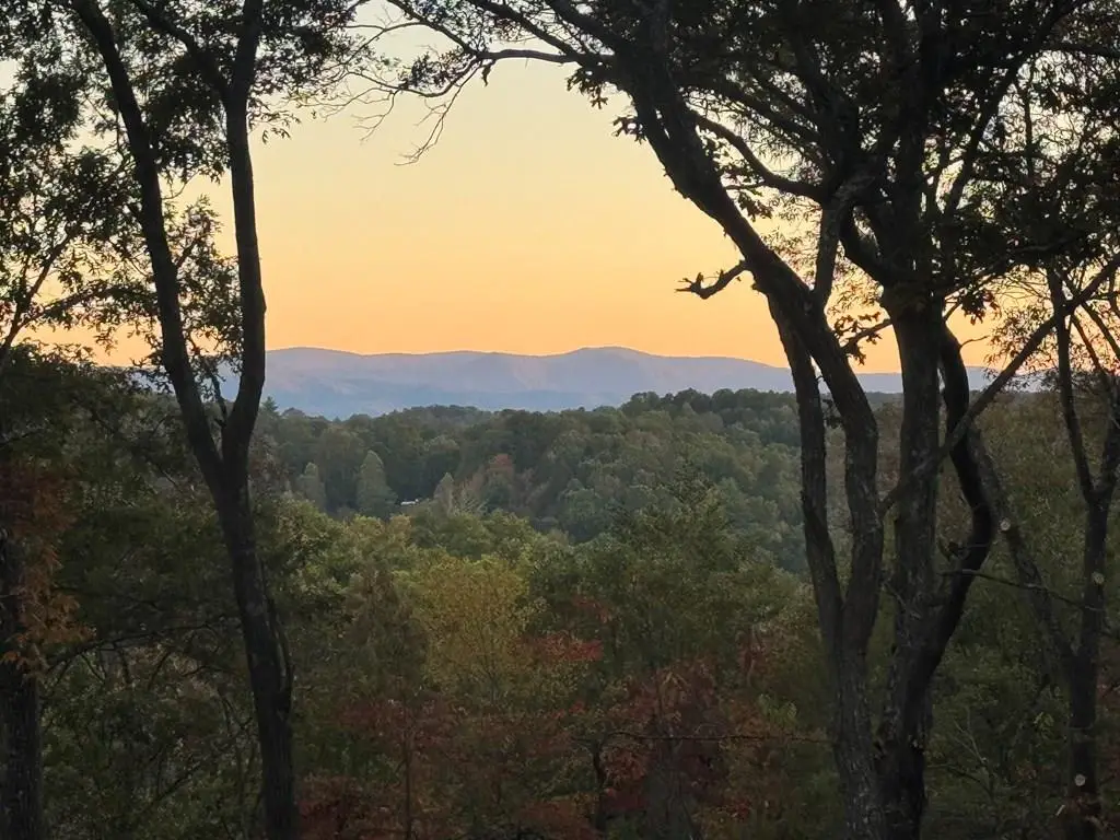 195 Wolf Creek Mountain Road, Mineral Bluff, GA 30559 - #1