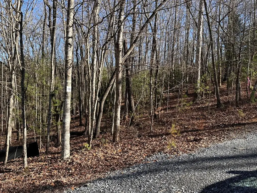 lot 19 Fairview Drive, Morganton, GA 30560 - Image #1