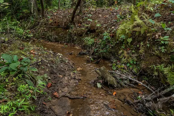 117 Poplar Drive #6 and 7, Dawsonville, GA 30534