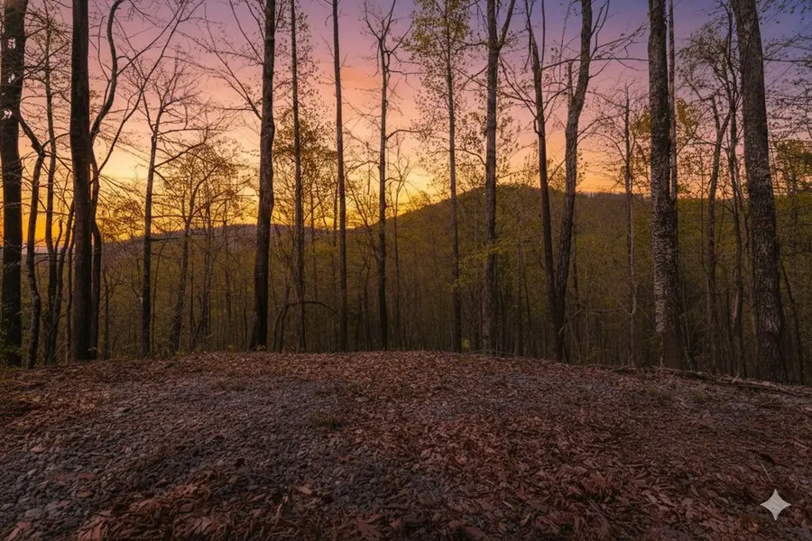 29 AC Hidden Valley Drive, Ellijay, GA 30536 - Image #3