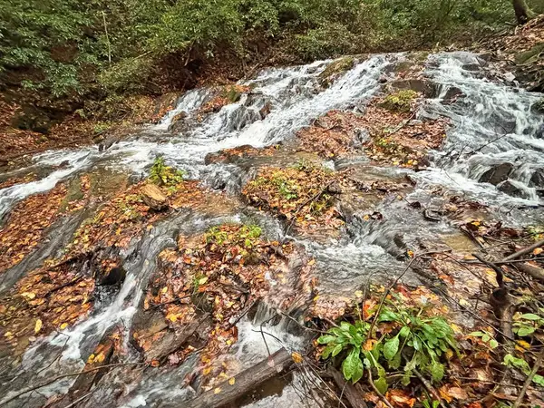 137 Faircloth Drive, Blue Ridge, GA 30513