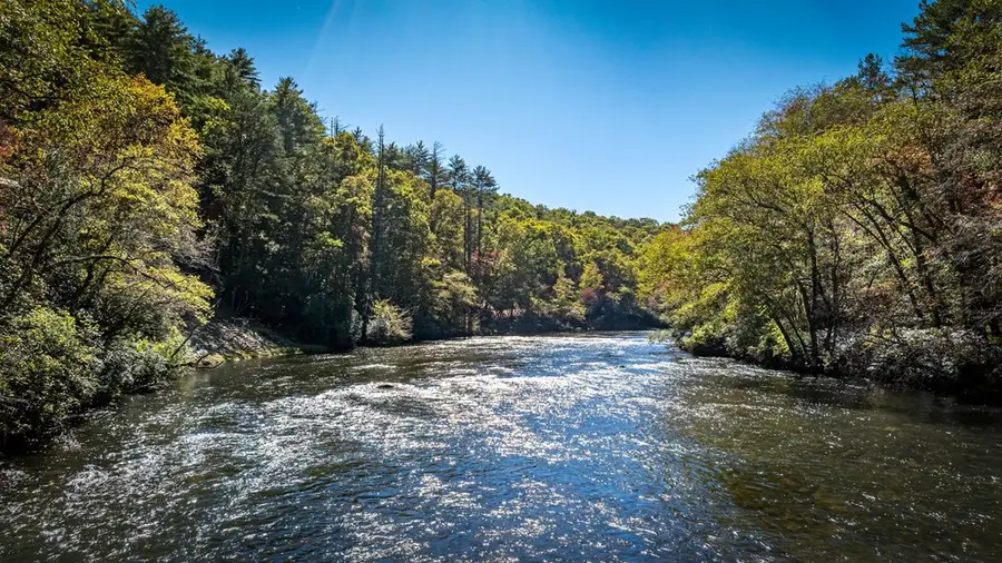 Lot 19 River Chase Way, Mineral Bluff, GA 30559 - #2