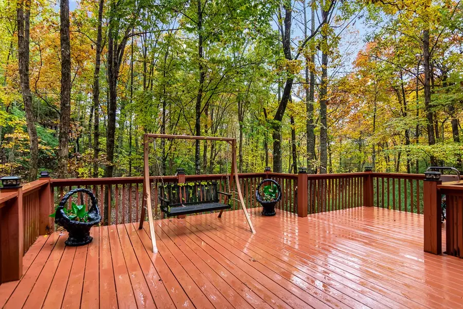 113 Justa Road, Blairsville, GA 30512 - #3