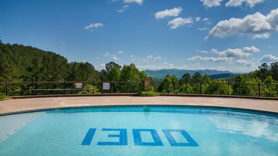 Lot 265 Thirteen Hundred S/d, Blairsville, GA 30512 - Image #3