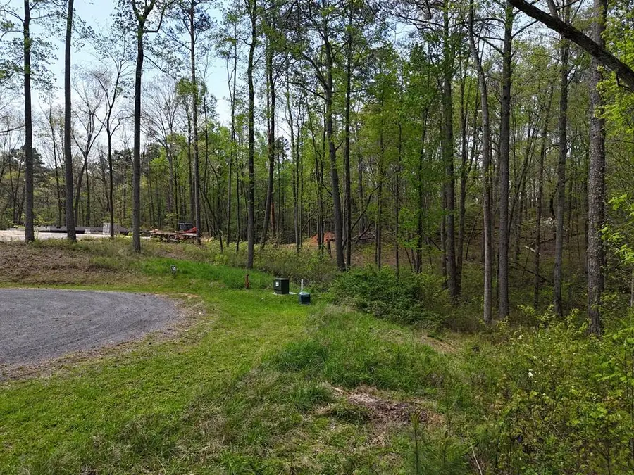 Lot 36R Hilton Drive, Ellijay, GA 30540 - Image #2