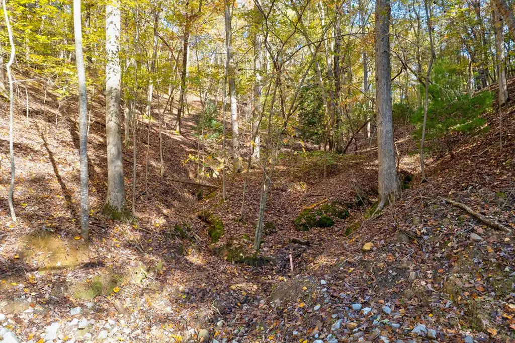 1.14 AC Parker Way, Ellijay, GA 30540 - Image #1