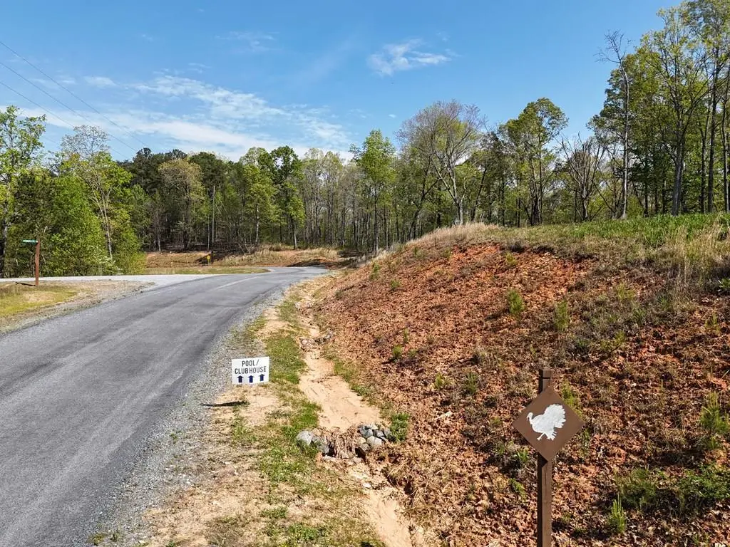 Lot 20 Blalock Mountain Road, Ellijay, GA 30540 - #1