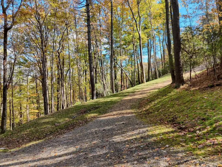 Lot 8 Cindy Cove, Blairsville, GA 30512 - #3