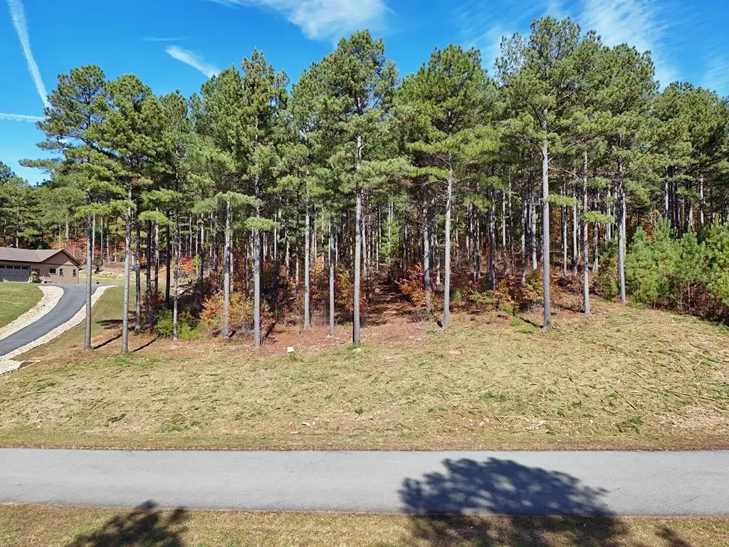 Lot168 Stables Loop, Blairsville, GA 30512 - #1