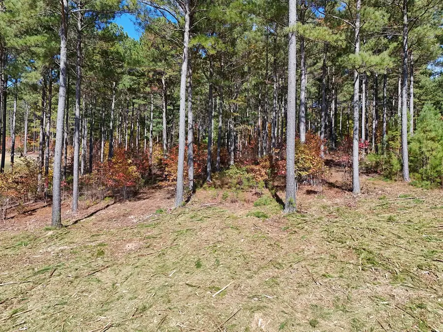 Lot168 Stables Loop, Blairsville, GA 30512 - #3