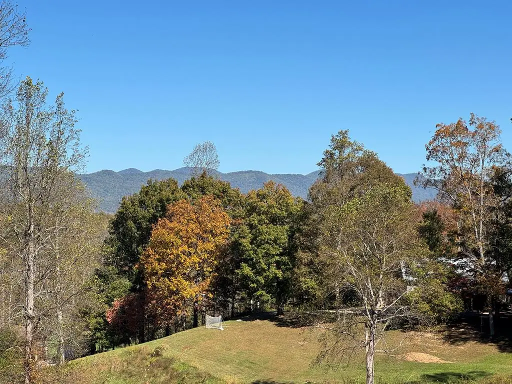 L 13/14 Anns Way, Blairsville, GA 30512 - #1