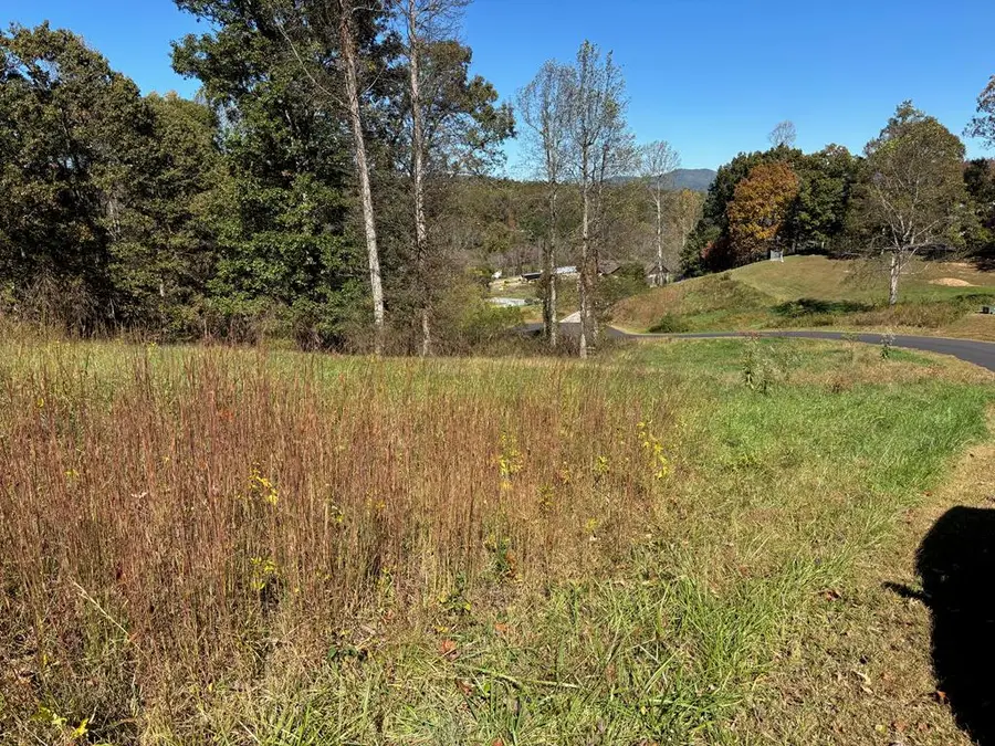 L 13/14 Anns Way, Blairsville, GA 30512 - #3
