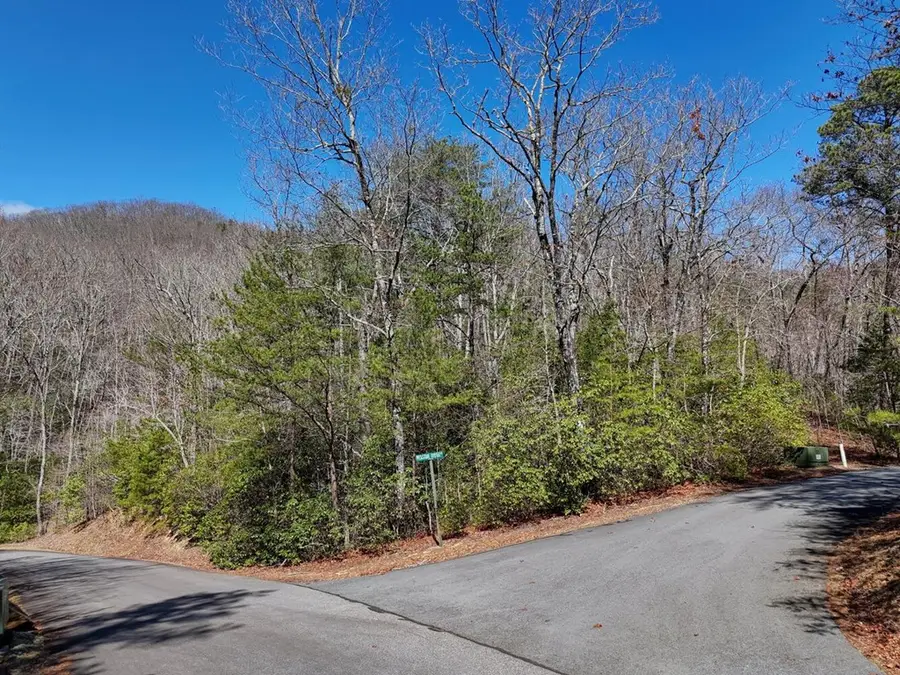 LT24 Mission Ridge Court, Hayesville, NC 28904 - Image #2