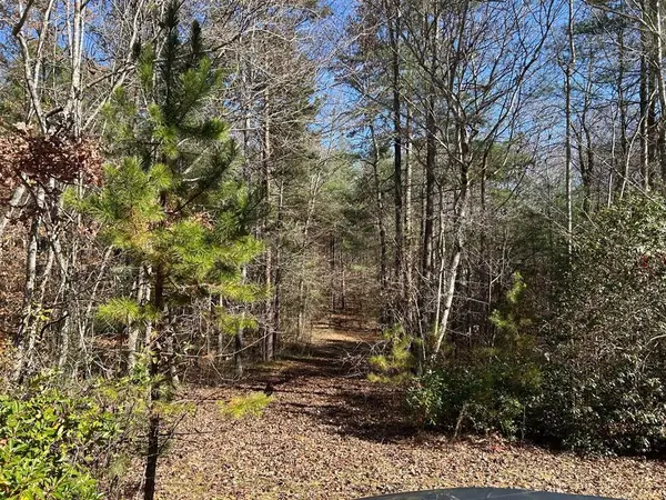 Lot 1&5 Pearl Wright Road, Blairsville, GA 30512