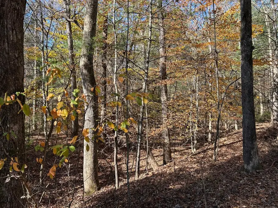 Lot 1&5 Pearl Wright Road, Blairsville, GA 30512 - Image #2