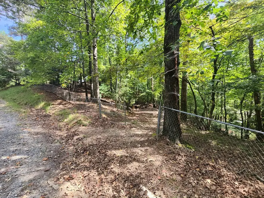 19B/2545 Frigate Drive, Ellijay, GA 30540 - Image #3