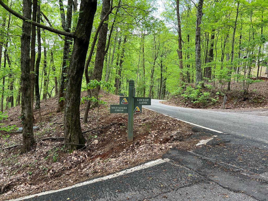 0 Valley View Drive, Big Canoe, GA 30143 - Image #1