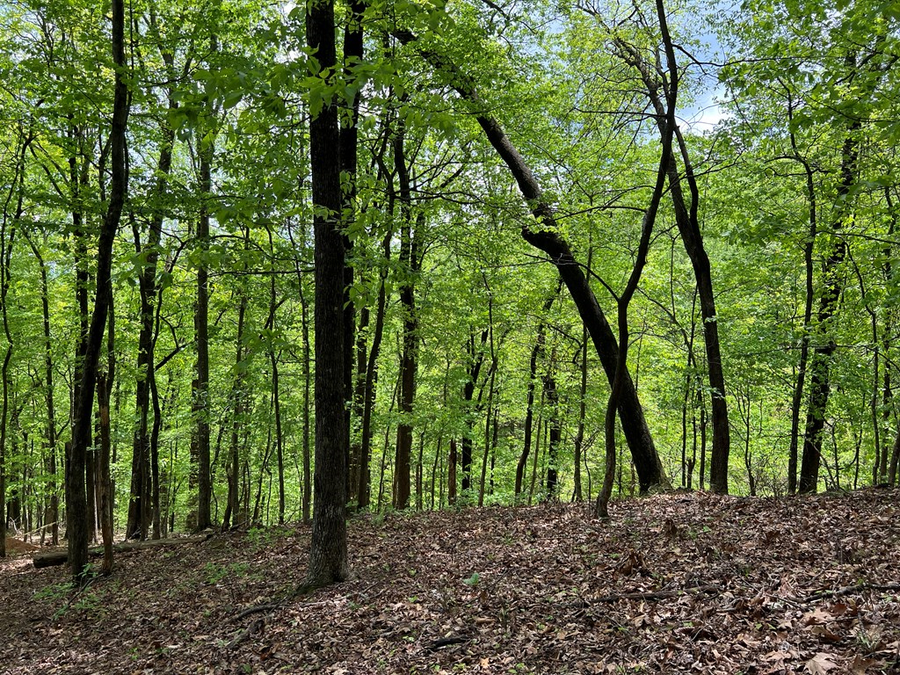 0 Valley View Drive, Big Canoe, GA 30143 - Image #3