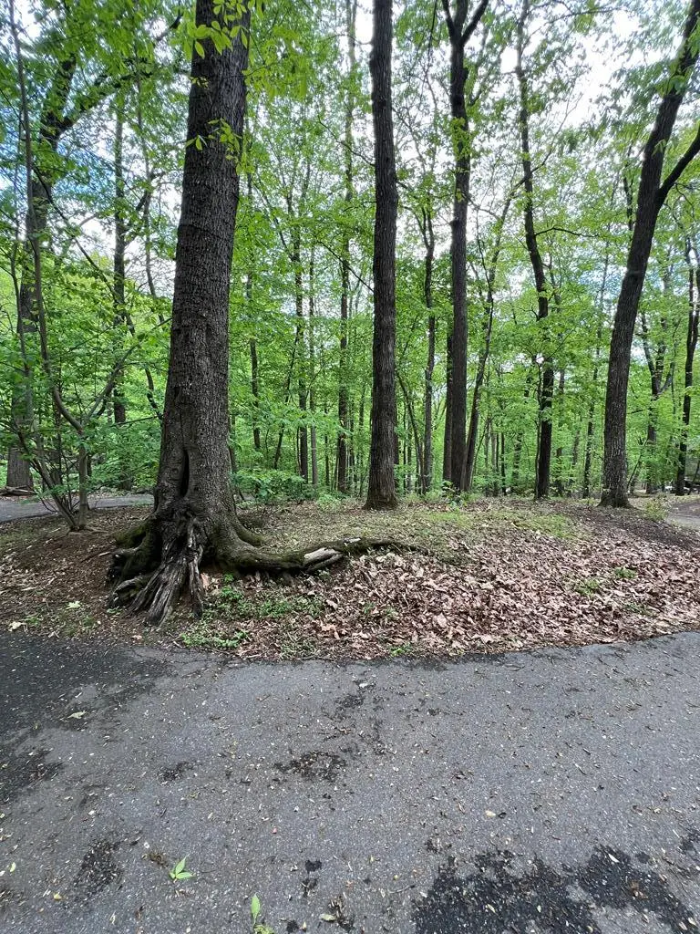 387 Windflower Drive, Jasper, GA 30143 - Image #2