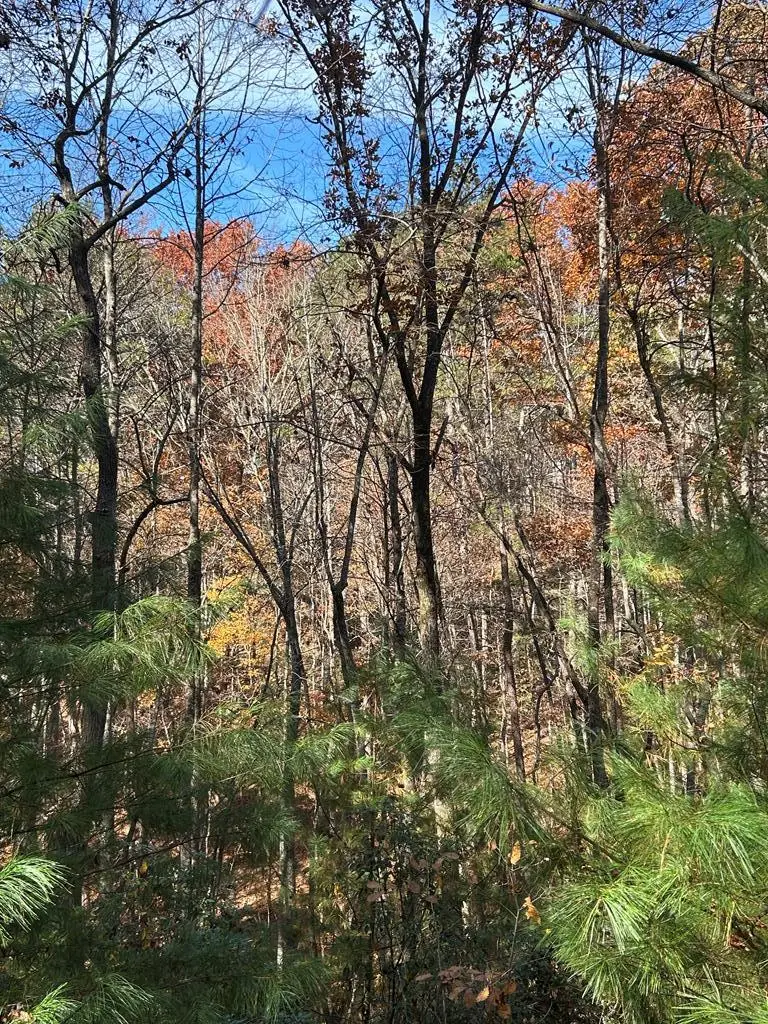 0 Lakota Lane, Mineral Bluff, GA 30559 - Image #3