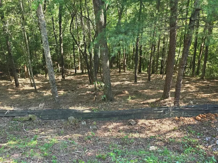 92 Cedar Road, Ellijay, GA 30540 - Image #3