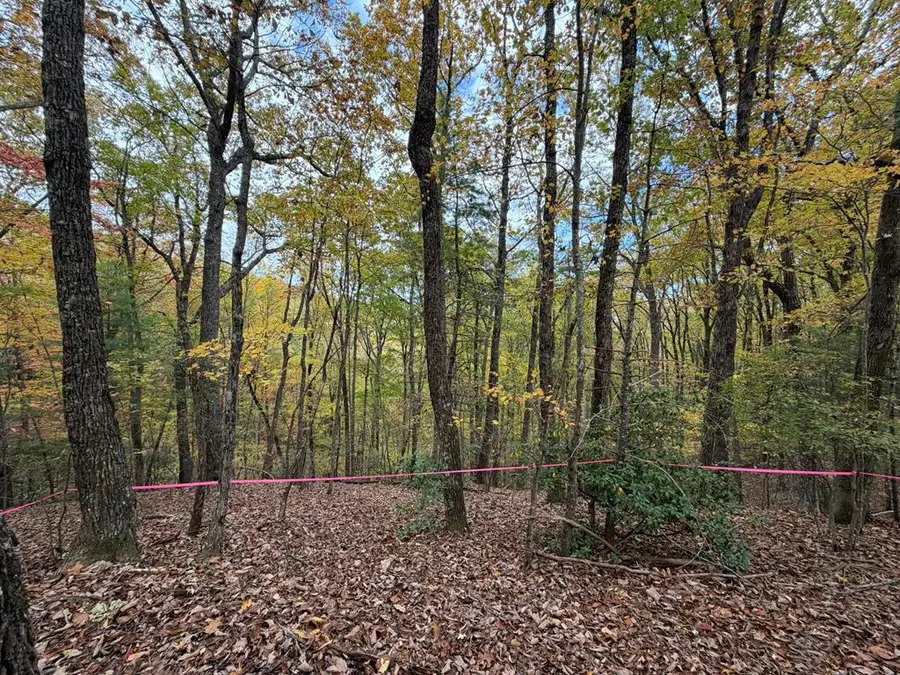 4.29 Ac All Good Road, Blue Ridge, GA 30513 - Image #2