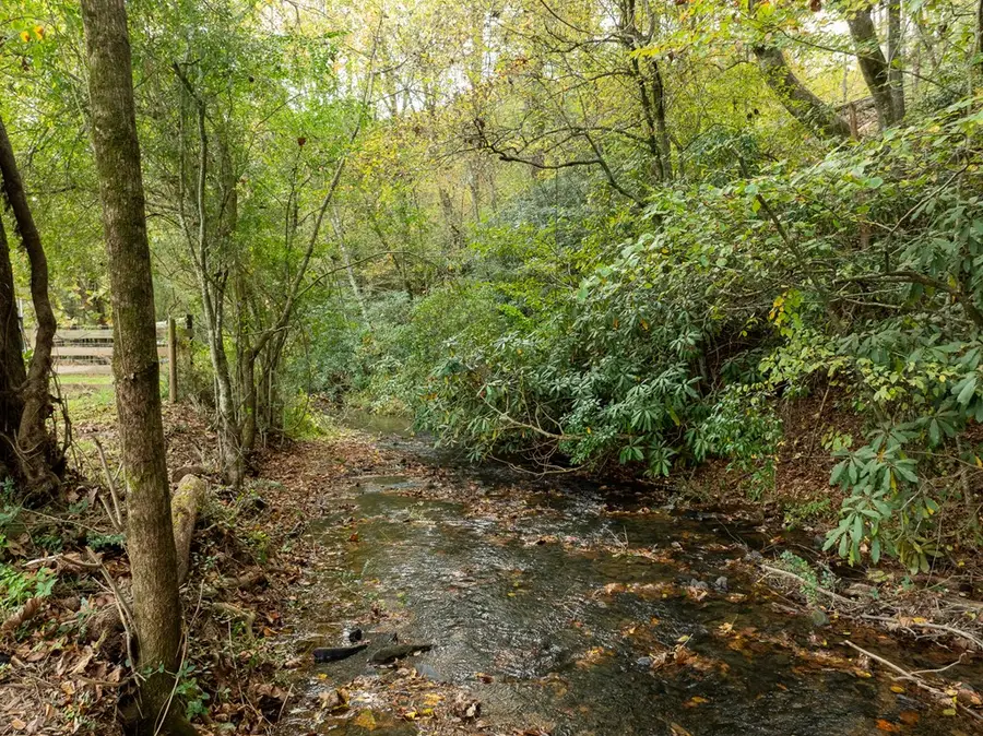 2673 Tails Creek Church Road, Ellijay, GA 30540 - Image #3