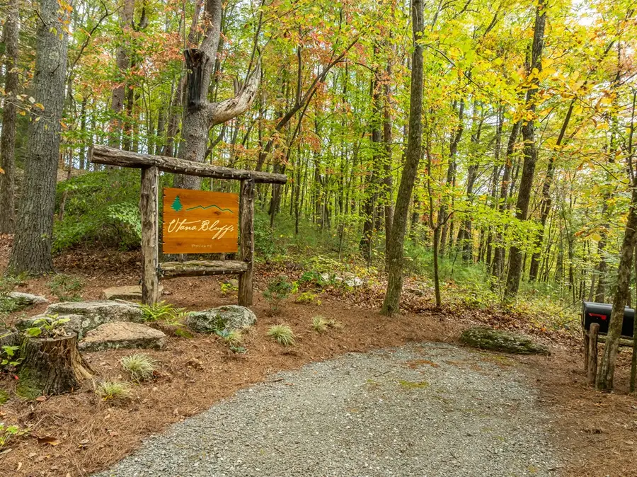 Lot 1 Chief Whitetails Road, Ellijay, GA 30540 - Image #2