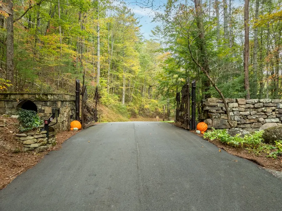 Lot 1 Chief Whitetails Road, Ellijay, GA 30540 - Image #3