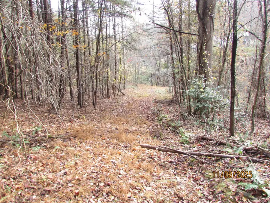 Tr. 5&6 Wikle Road, Hayesville, NC 28904 - Image #3