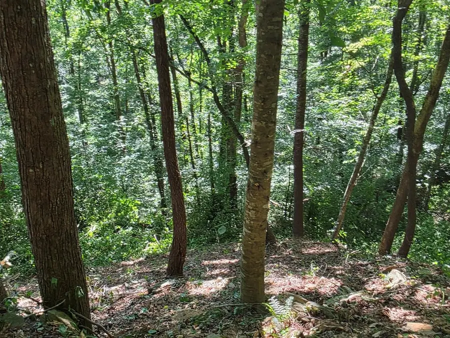 101 Cedar Road, Ellijay, GA 30540 - Image #3