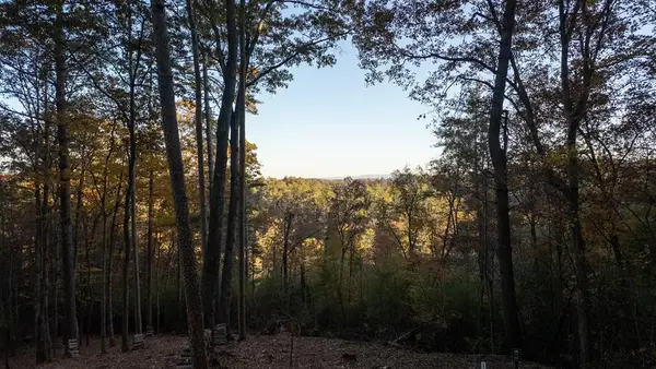 155 Rhondas Way, Ellijay, GA 30540