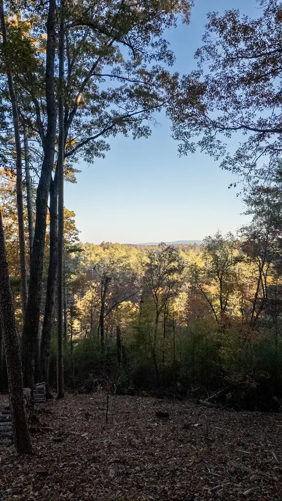 155 Rhondas Way, Ellijay, GA 30540 - Image #2