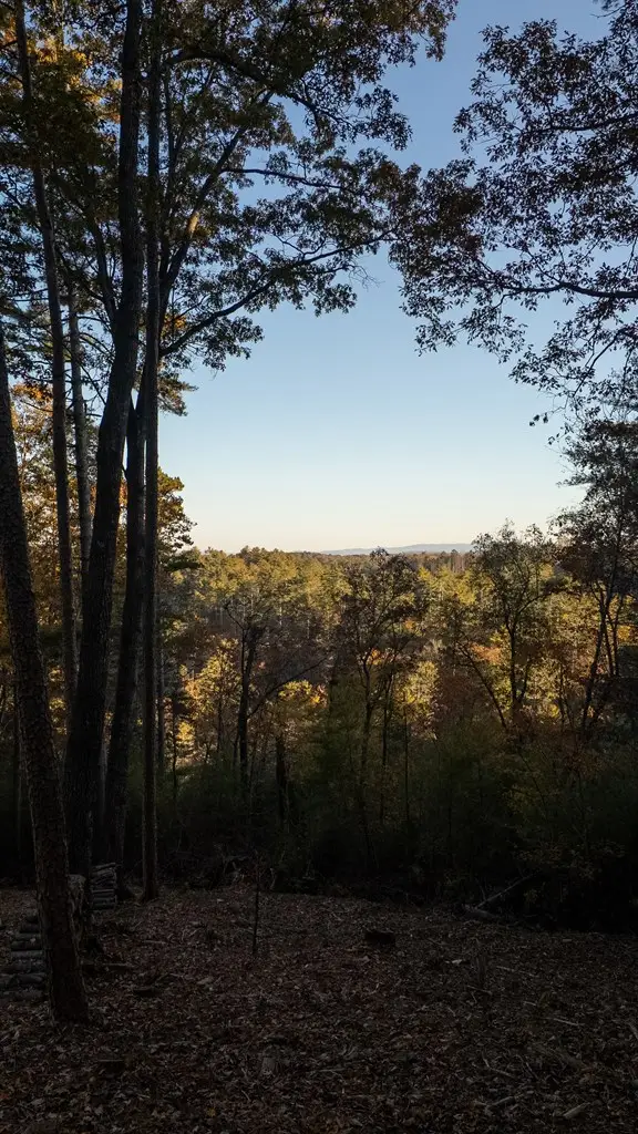 155 Rhondas Way, Ellijay, GA 30540 - Image #3