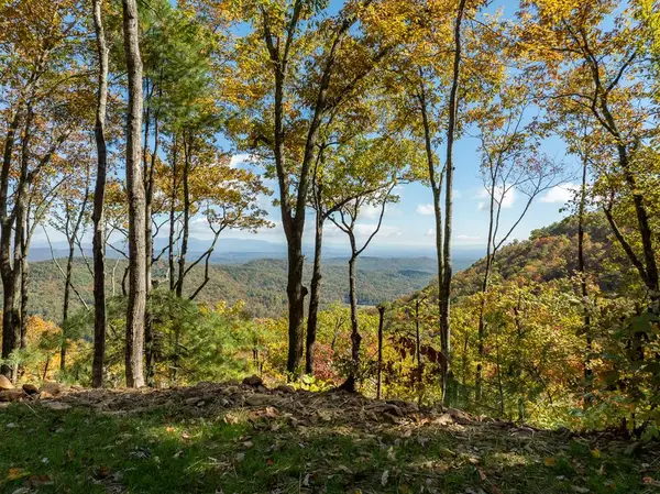 Lot 45 Utana Bluffs Trail, Ellijay, GA 30540
