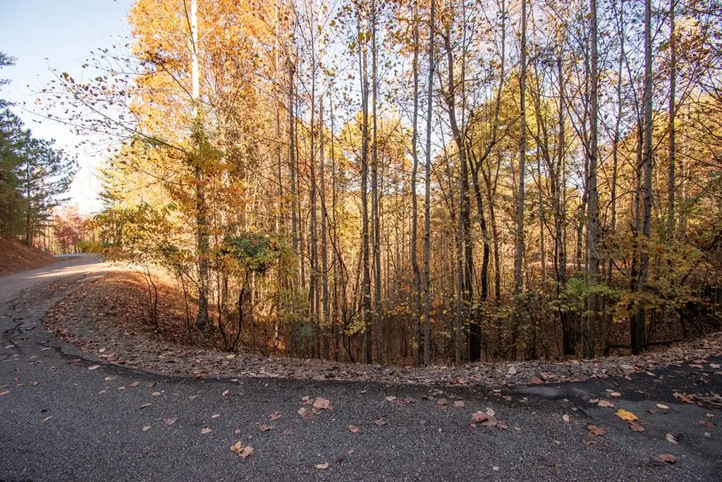 Lot 66 Choctaw Ridge Trail, Murphy, NC 28906 - #1