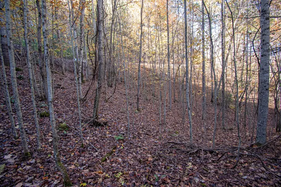 Lot 66 Choctaw Ridge Trail, Murphy, NC 28906 - #2